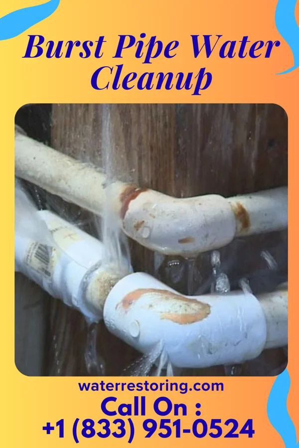 Burst Pipe Water Cleanup in Mayland, TN