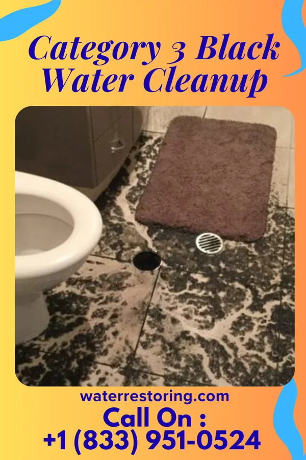 Category 3 Black Water Cleanup in Mayland, TN