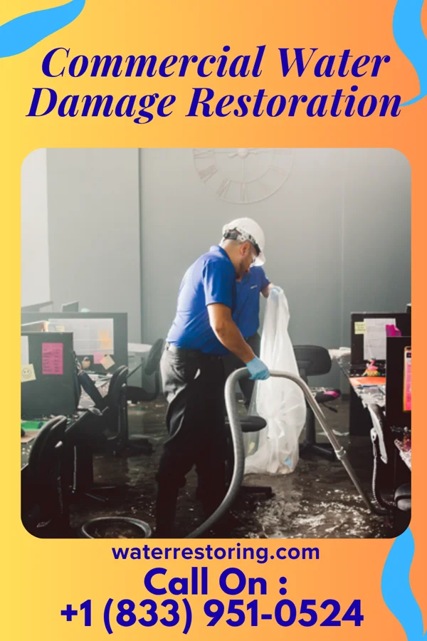 Commercial Water Damage Restoration in Mayland, TN