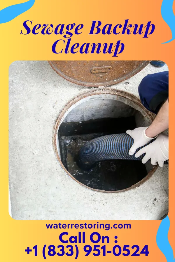 Sewage Backup Cleanup in Mayland, TN