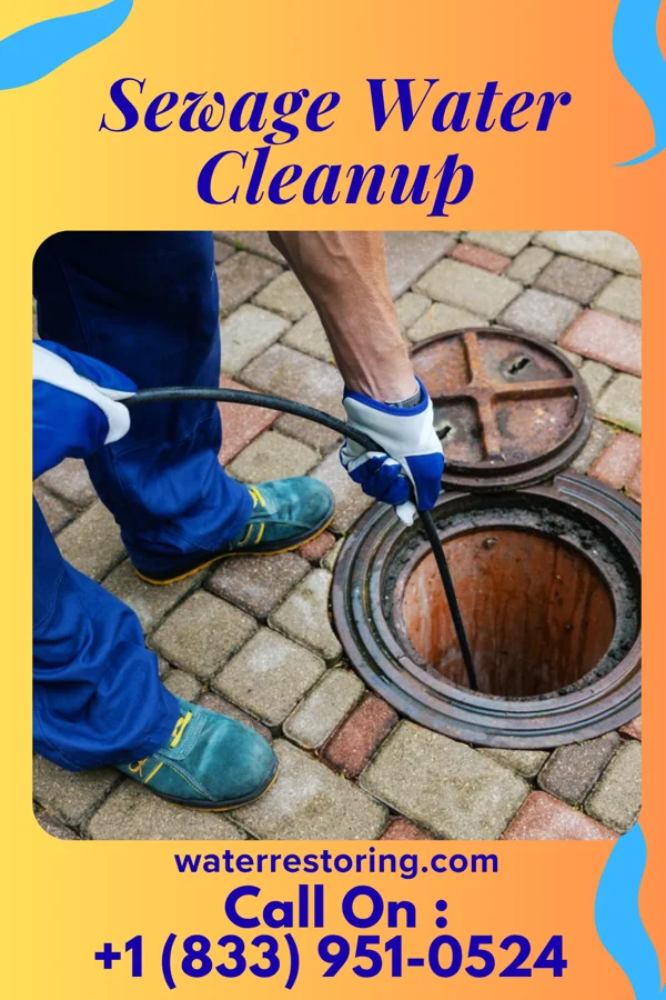 Sewage Water Cleanup in Mayland, TN