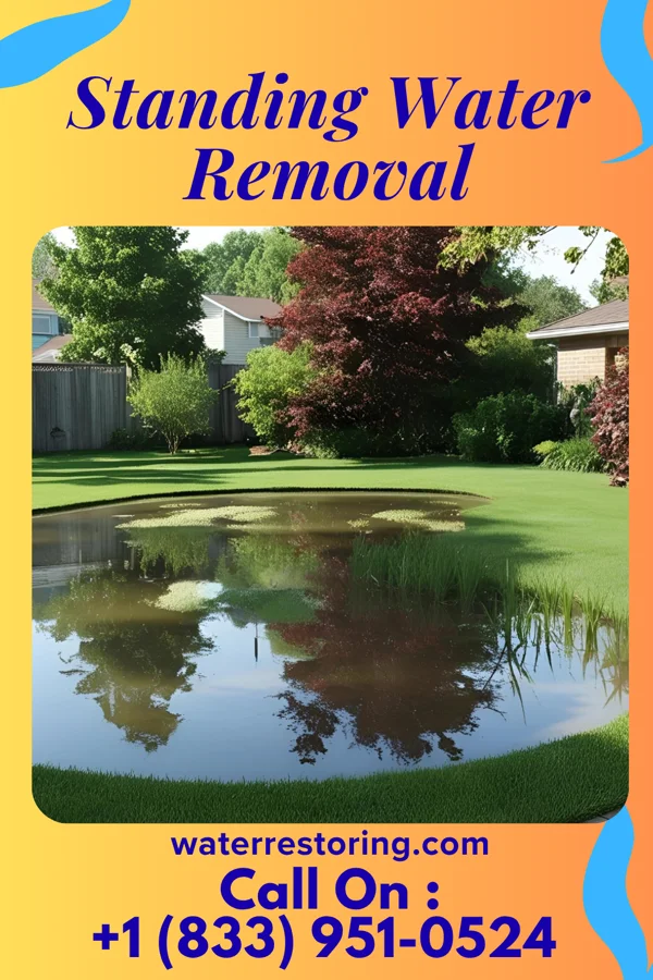 Standing Water Removal in Mayland, TN